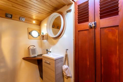 纳博讷Bateau Le Nubian的一间带水槽和镜子的浴室