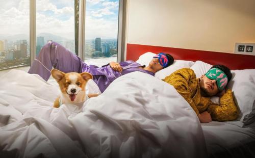 岘港Wink Hotel Danang Riverside - 24hrs Stay & Rooftop with Sunset View的两个人躺在床上,床上有一只狗