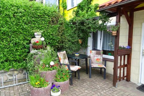 Kölpinsee auf UsedomKölp - Block`s Ferienwohnung的庭院配有桌椅和植物