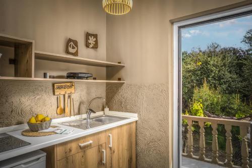 利萨基亚科克拉斯一室公寓的厨房设有水槽和窗户。