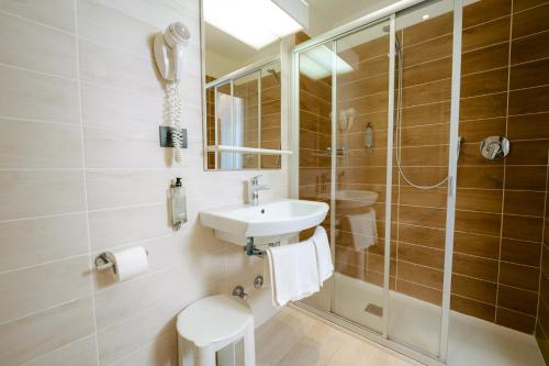 特伦托珠峰酒店的一间带水槽和淋浴的浴室