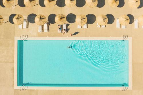 圣西普里安Résidence Pierre & Vacances Premium Domaine du Golfe du Lion的享有带遮阳伞的游泳池的顶部景致