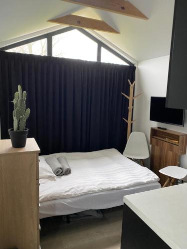 登博斯De Dieskant的一间卧室设有一张床和一个带仙人掌的窗户