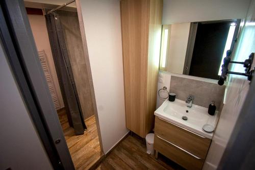 阿维尼翁Appartement de 2 chambres avec piscine partagee jacuzzi et jardin clos a Avignon的一间带水槽和淋浴的小浴室