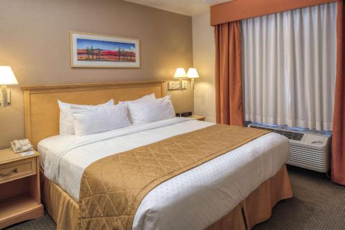 土桑Hilton Vacation Club Varsity Club Tucson的一间设有大床和窗户的酒店客房