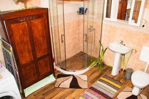 MolveCountry House Ivančan的带淋浴和盥洗盆的浴室