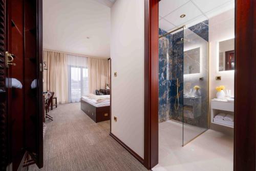 诺维格勒伊斯特拉Hotel Nautica - Wellness & SPA, Free parking, Pet friendly的客房内的浴室设有水槽和镜子