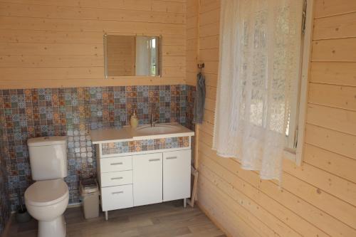 PriekuleDižozoli的一间带卫生间、水槽和镜子的浴室