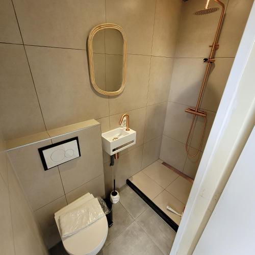 雷讷瑟Ecolodges De Dreef Guesthouse的一间带卫生间和水槽的小浴室
