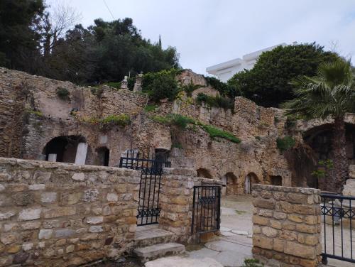 迦太基Appartement à Carthage byrsa的一道古老的石墙,有门和栅栏