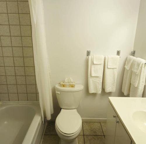 里穆斯基Motel Au Soleil couchant的白色的浴室设有卫生间、浴缸和毛巾。