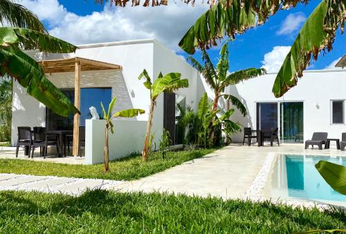 吉汶瓦LIONS VILLA ZANZIBAR - Cook Service & Infinity Pool - ON THE SEASIDE的一座带游泳池和房子的别墅