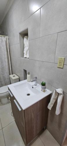 Tapia Número DosLos Corcho Suites Airport的一间带水槽和卫生间的浴室
