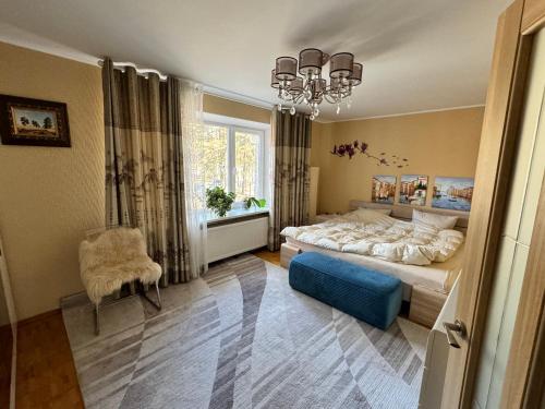 维萨吉纳斯VIsagino Apartment的卧室配有床、椅子和窗户。