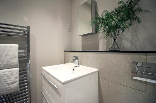 卡迪夫Casablanca 4 - Cardiff Bay - 2 Bed Apartment的浴室设有白色水槽和盆栽植物