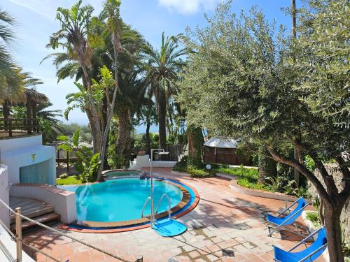 伊斯基亚Paco Residence Benessere & Relax的棕榈树庭院内的游泳池