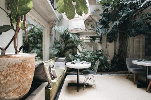 墨西哥城Nima Local House Hotel & Spa的一间配备有沙发、桌子和植物的客房