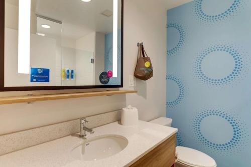 史密斯菲尔德Tru By Hilton Smithfield I-95的一间带水槽、卫生间和镜子的浴室