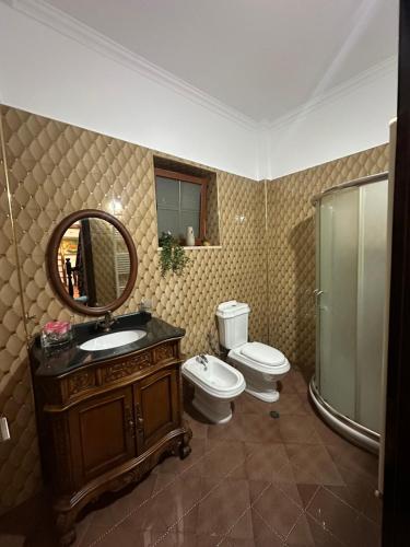 培拉特Rus Apartment的一间带卫生间、水槽和镜子的浴室