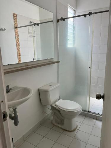 巴耶杜帕尔Lindo Apto con Aire Acond de 3 habitaciones的浴室配有卫生间、盥洗盆和淋浴。