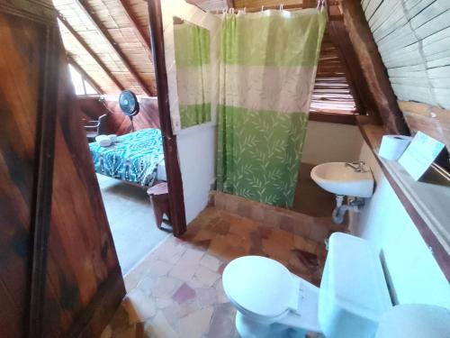 阿亚姆佩Hotel Palma Coco的一间带卫生间和水槽的小浴室