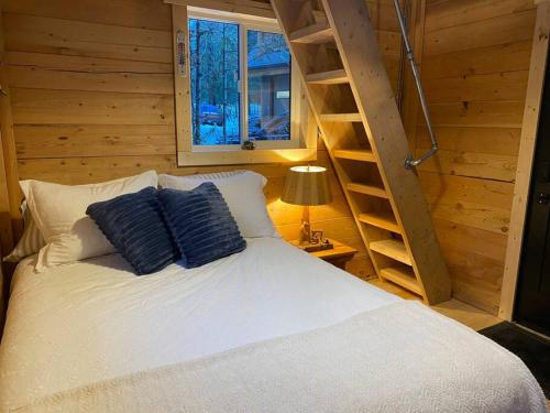 弗尼Ski-In Chalet: Private Hot tub, Bonus Bunk House的一间卧室配有一张带蓝色枕头的床和梯子