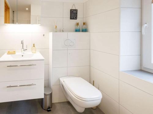 布克斯泰胡德Exclusief Tiny House的白色的浴室设有卫生间和水槽。