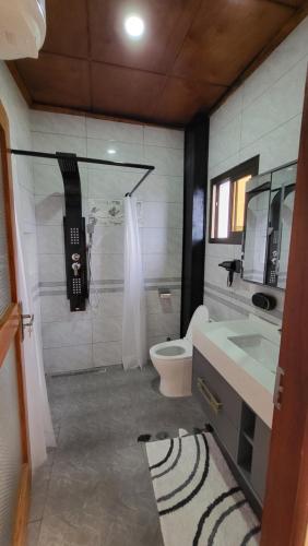 黑角Elegant Appartement BELAPPART的带淋浴、卫生间和盥洗盆的浴室