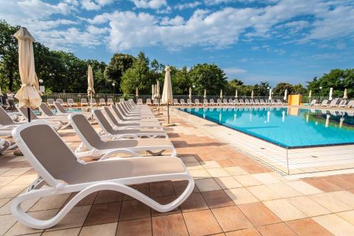 梅杜林Arena Hotel Holiday的游泳池旁的一排躺椅