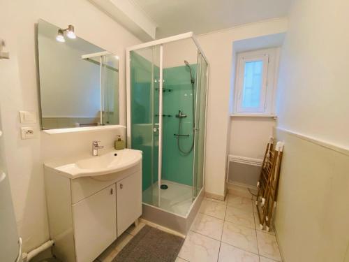 特里尼亚克Appartement Confortable - Trignac Centre Ville的带淋浴和盥洗盆的浴室