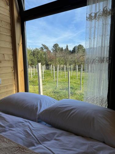 巴统Orion Cottage的一间卧室设有窗户,享有田野美景