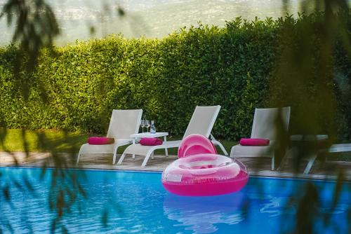 CetinaVilla Leko Dream House的一个带椅子和水中粉红色物体的游泳池