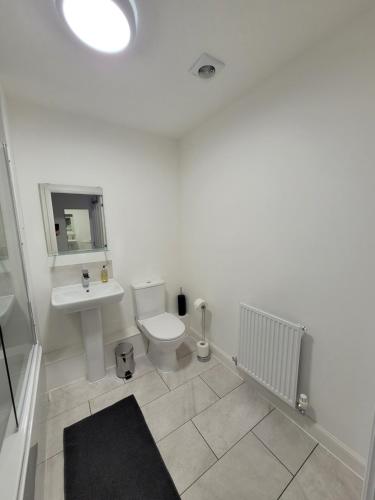 PeacehavenSkylark Apartment的白色的浴室设有水槽和卫生间。