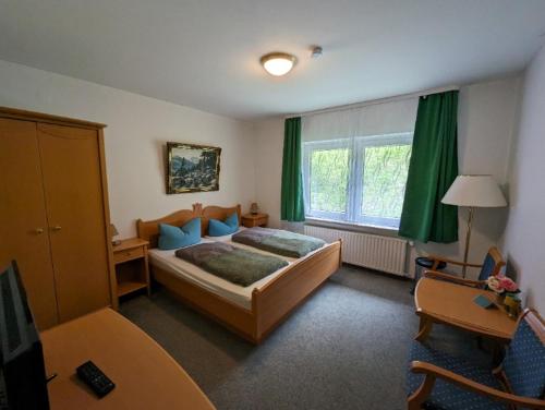 哈茨山区黑尔茨贝格Haus Am Waldesrand的一间卧室配有一张床、一张书桌和一个窗户。