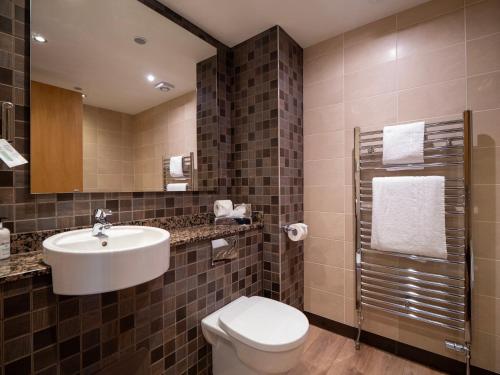 特伦旧罗恩旅馆的一间带水槽、卫生间和镜子的浴室