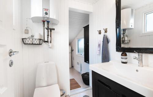 森讷比3 Bedroom Awesome Home In Juelsminde的一间带水槽、卫生间和镜子的浴室