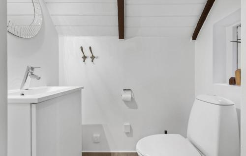 哈夫維格Lovely Home In Hvide Sande With Wifi的白色的浴室设有卫生间和水槽。