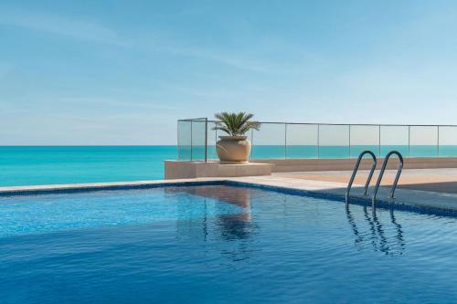 阿莱曼Rixos Premium Alamein的海景游泳池