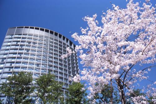 东京半蔵门格兰亚克酒店的前面有樱桃树的建筑