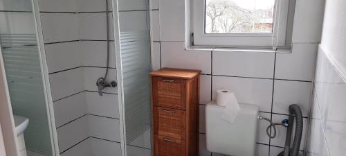 诺德豪森Ferienhaus Sonne的带淋浴的浴室和木制橱柜。