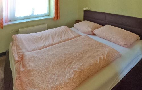 克林克Lovely Home In Klink With Kitchen的卧室内的一张带两个枕头的床