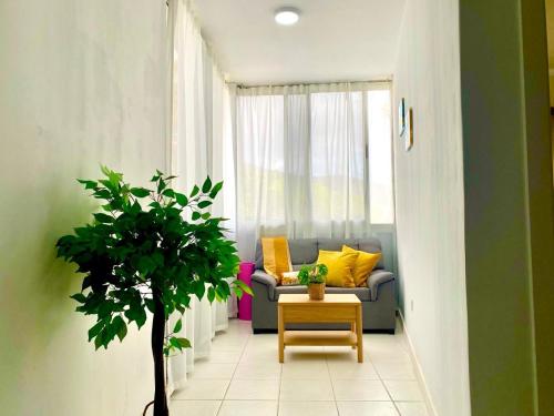 洛斯克里斯蒂亚诺斯Liwia beautiful apartment in the first Oceanline in Los Cristianos.的带沙发和盆栽植物的客厅