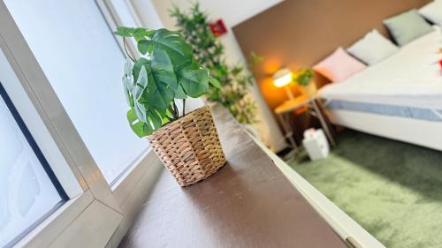 GönnernGemütlicher Raum mit eigenem Bad的坐在窗边桌子上的盆栽植物