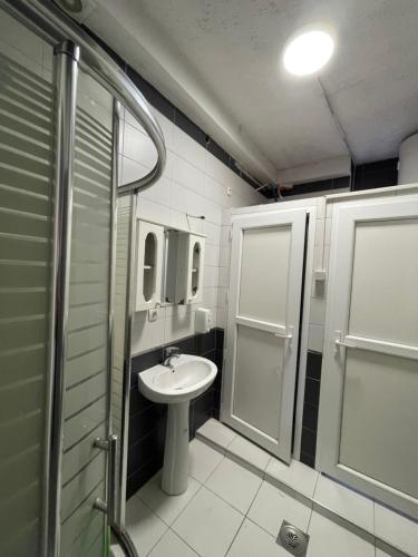 普里什蒂纳NEWBORN comfort HOSTEL的一间带水槽和淋浴的浴室
