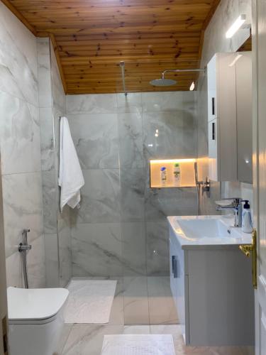 克鲁亚Villa Duka的带淋浴、卫生间和盥洗盆的浴室