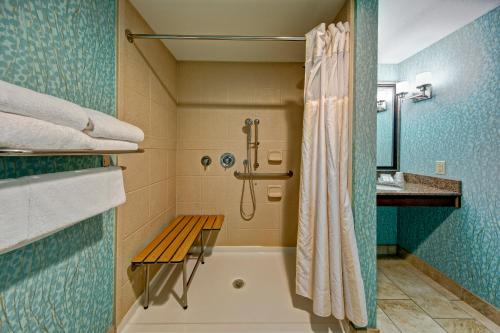 塔尔萨塔尔萨市中心希尔顿花园酒店的浴室配有浴缸、淋浴和长凳