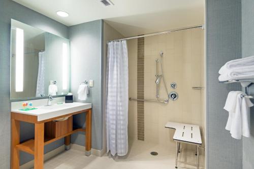 奥斯汀奥斯汀市中心凯悦嘉轩酒店的一间带水槽和淋浴的浴室