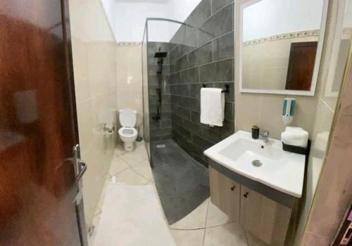 塞吉尔堡Chambres Maya的一间带水槽、卫生间和淋浴的浴室