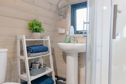 IrvinestownCoolaness Glamping的浴室配有白色水槽和卫生间。