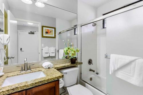 拉海纳西毛伊岛花园酒店的一间带水槽、卫生间和淋浴的浴室